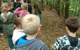 IMG_20231004_112341