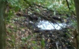 IMG_20231004_112322