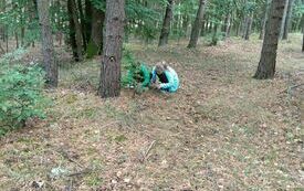 IMG_20231004_111312