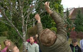 IMG_20231004_105924