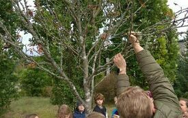IMG_20231004_105920