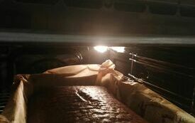 IMG_20231208_155208
