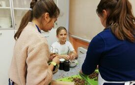 IMG_20231208_140547