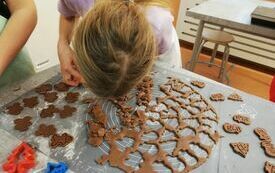 IMG_20231201_144635