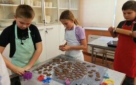 IMG_20231201_144631