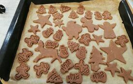 IMG_20231201_144059