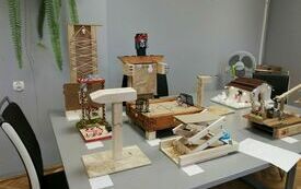 IMG_20231213_102658