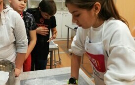 IMG_20240105_141303