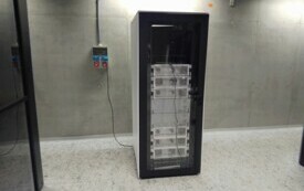 IMG_20240425_105129