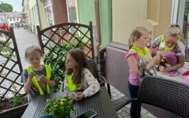 Zdjęcie WhatsApp 2024-06-18 o 13.15.11_1c04ff97