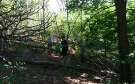 IMG_20240920_103151