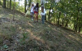 IMG_20240920_102635