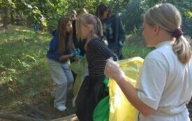 IMG_20240920_102341