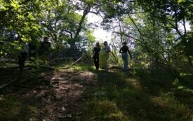 IMG_20240920_102313