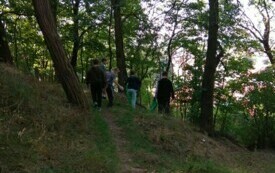 IMG_20240920_102159