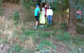 IMG_20240920_102042