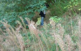 IMG_20240920_102040