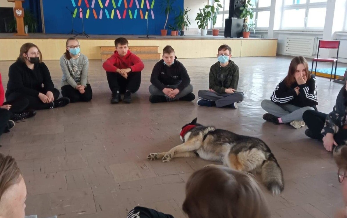 Zdjęcie do "EDUKACJA I TERAPIA Z PSEM"