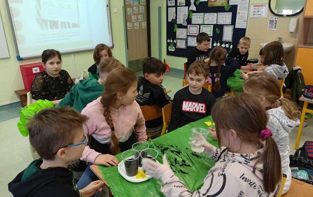 Zdjęcie do PROJEKT BADAWCZY &ndash; CZEGO POTRZEBUJĄ ROŚLINY, ŻEBY ROSNĄĆ? &nbsp; &nbsp; &nbsp; &nbsp; &nbsp;&nbsp;