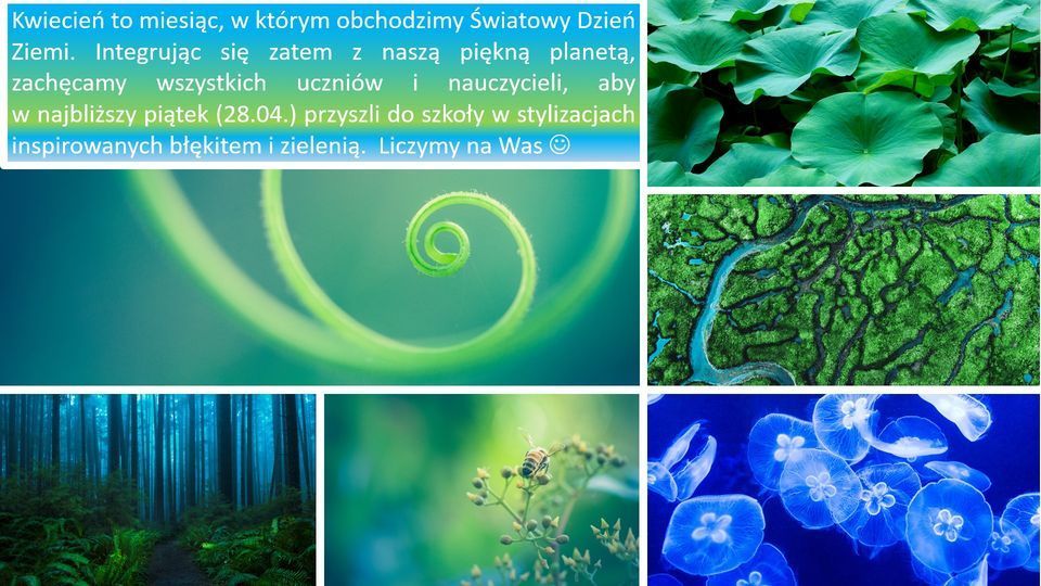 Zdjęcie do KWIETNIOWY KOLOROWY PIĄTEK W BŁĘKICIE &nbsp; I ZIELENI &nbsp;