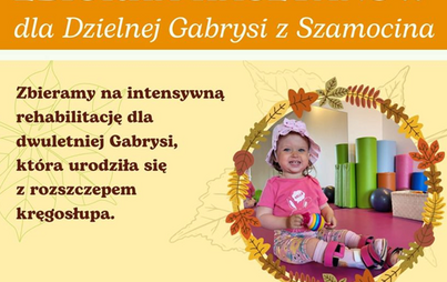 Zdjęcie do Zbi&oacute;rka kasztan&oacute;w