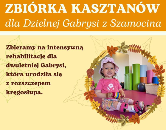 Zdjęcie do Zbi&oacute;rka kasztan&oacute;w