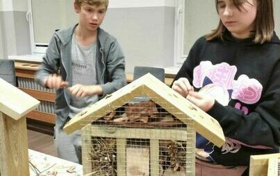 Zdjęcie do Eko - Warsztaty