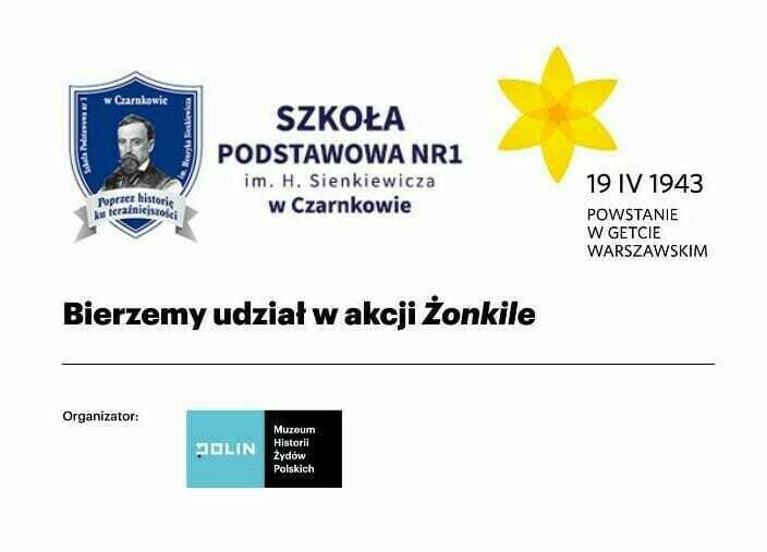 Zdjęcie do Akcja społeczno - edukacyjna "Żonkile"