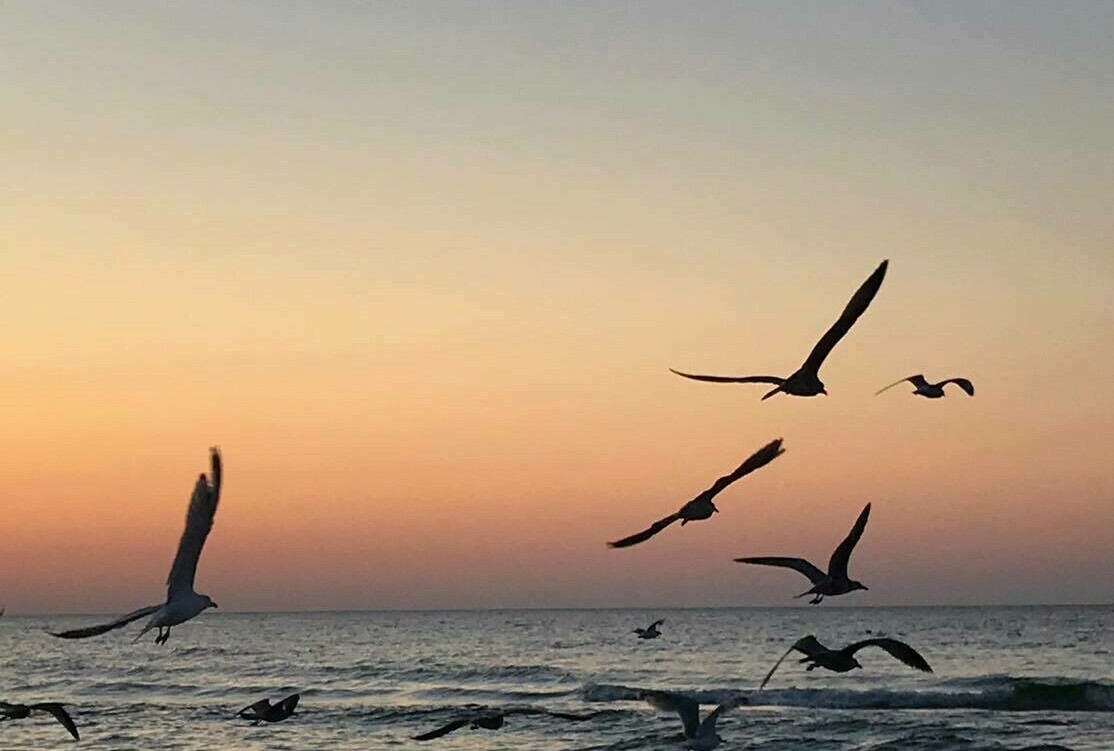 Zdjęcie do Fotorelacja z wycieczki do Łeby