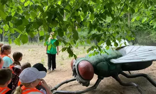 Zdjęcie do W świecie gigantycznych owad&oacute;w &ndash; wycieczka do Owadogigant Parku 