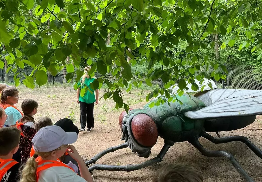 Zdjęcie do W świecie gigantycznych owad&oacute;w &ndash; wycieczka do Owadogigant Parku 